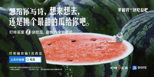 关于娱乐圈的吃瓜文案,揭秘明星幕后故事