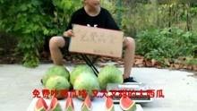 娱乐搞笑吃瓜视频大全集